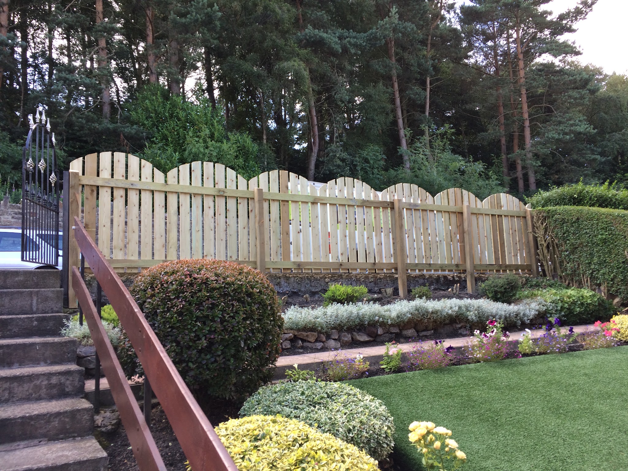 Scalloped-top timber fence above a tiered garden with steps